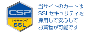 �V���b�s���O�J�[�g��SSL�Z�L�����e�B�̗p